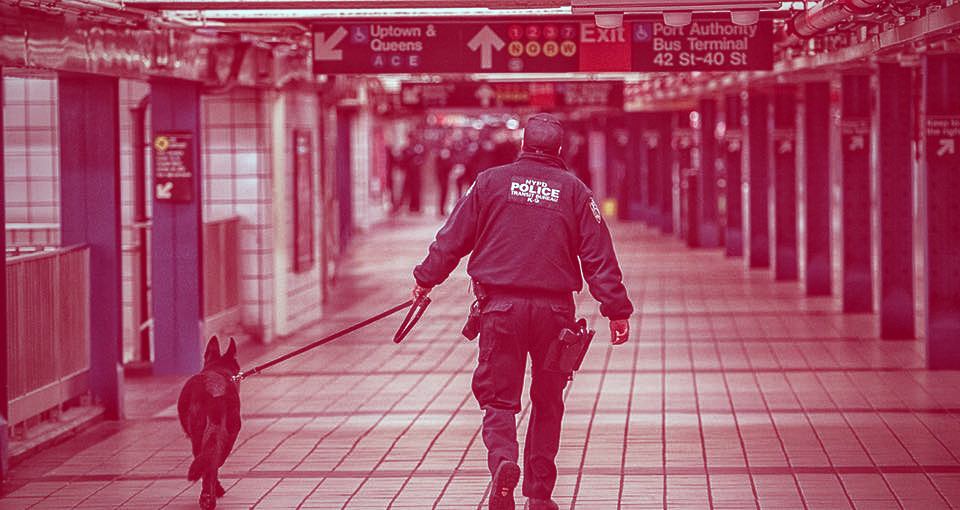 Bomb Dogs, ‘Goon Squad,’ Subway Cops: Who’s Making a Killing in NYPD Overtime