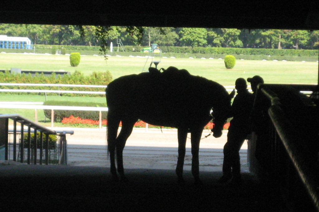The New Belmont Park Could Become the Country’s Deadliest Track for Horses